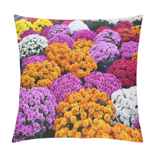 Personality  Colorful Chrysanthemum Flowers For Sale At The Market, Traditional Flowers For The Day Of The Dead In Europe. Pillow Covers