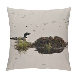 Personality  Loon Swimming By Her Nest With Two Brown Eggs In The Nest With Marsh Grasses, Mud In Its Environment And Habitat Displaying Red Eye, Black And White Feather Plumage, Greenish Neck. Loon Eggs. Loon Nest. Image. Picture. Portrait. Photo.  Pillow Covers