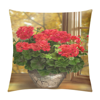 Personality  Geraniums In The Window Pillow Covers