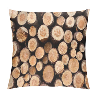 Personality  Detail Of A Timber Background Pillow Covers
