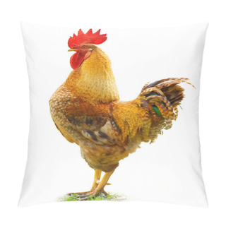 Personality  Beautiful Rooster Pillow Covers