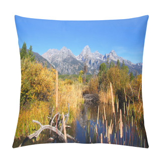 Personality  Fall In Grand Tetons Pillow Covers