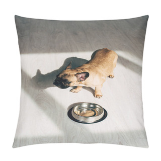 Personality  Overhead View Of Adorable French Bulldog Standing Near Bowl At Home Pillow Covers