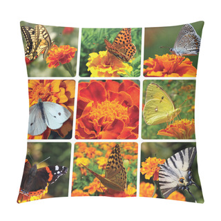 Personality  Collage With Butterflies Pillow Covers