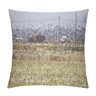 Personality  Flock Of Starlings Pillow Covers