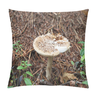 Personality  Death Mushroom Near An Anthill Pillow Covers