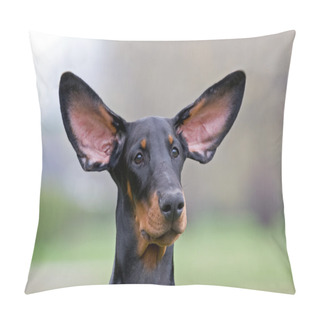 Personality  Black Dog Flying Ears Pillow Covers