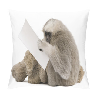Personality  Close-up Of Young Pileated Gibbon (1 Year) Pillow Covers