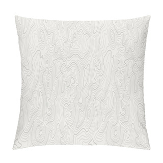 Personality  Topographic Map Patterns, Topography Line Map. Vintage Outdoors Style Pillow Covers
