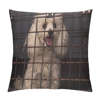 Personality  White Poodle In The Cage Pillow Covers