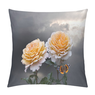 Personality  Beautiful Big Pale Orange Rose On Blured Background. Orange Rose On The Bush. Delicate Rose Macro. Pillow Covers