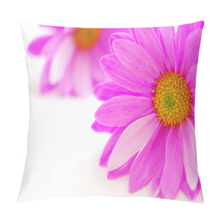 Personality  Pink Flowers Close Up On White Background Pillow Covers