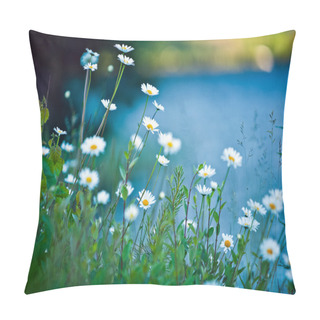 Personality  White Daisies On Blue Background Pillow Covers