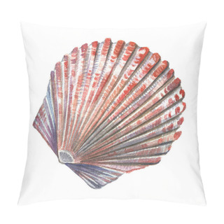 Personality  Sea Shell Painted Watercolor. Illustrations Of Sea Shells On A W Pillow Covers