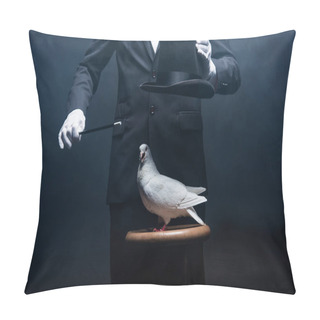 Personality  Cropped View Of Magician Showing Trick With Dove, Wand And Hat In Dark Room With Smoke  Pillow Covers