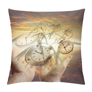 Personality  Time Flies Pillow Covers