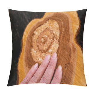 Personality  A Womans Hand Wipes A Fresh, Freshly Cut Cut Of A Tree. Growth Rings Are Visible On The Cut. Sanitary Deforestation, Garden Pillow Covers