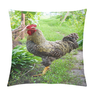 Personality  Beautiful Rooster Walking In The Garden Among The Trees. Household. Pillow Covers