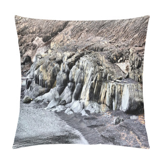 Personality  Fossilized Dinosaurs. The Shore Of The Barents Sea And Abrasion. Arctic Pillow Covers