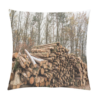 Personality  Re-cut Forest Trees Are Stored Ready For Collection After Forestry Work Pillow Covers