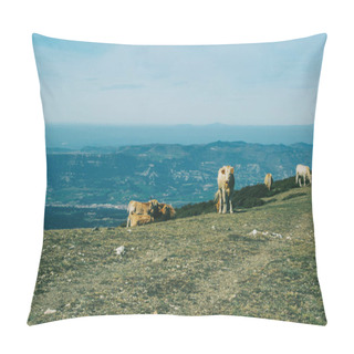 Personality  Views Of A Mountainous Landscape With A Herd Of Cows In The Foreground Pillow Covers
