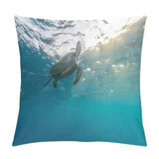 Personality  Hawksbill Turtle Trying To Breath.  Pillow Covers