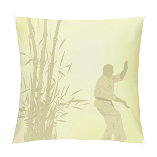 Personality  The Old Illustration, The Man Is Engaged In Karate. Pillow Covers