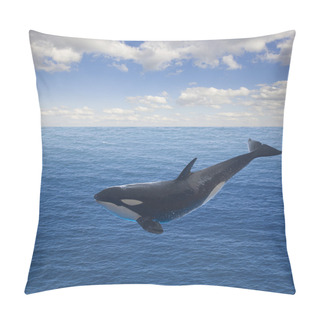 Personality  Jumping Killer Whale Pillow Covers