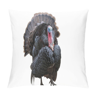 Personality  Wild Turkey Bird Isolated Over White Pillow Covers