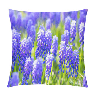 Personality  Macro View Of Blue Muscari Flowers Pillow Covers
