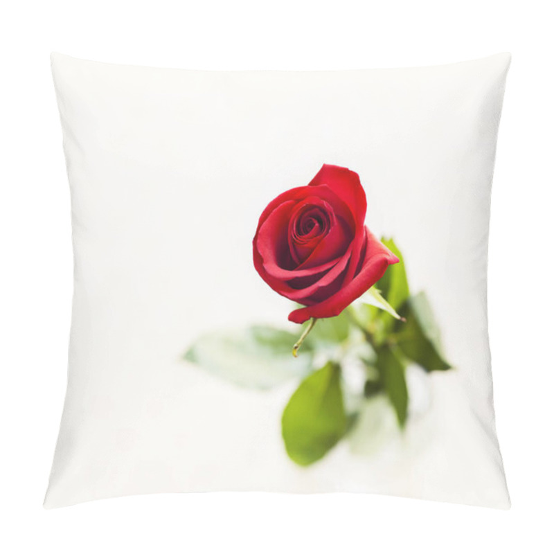 Personality  close-up of rose flower pillow covers