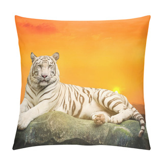 Personality  White Tiger With Sunset Background Pillow Covers