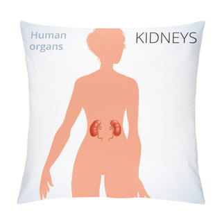 Personality  The Location Of The Kidneys In The Female Body, The Human Excretory System Pillow Covers