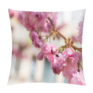 Personality  Macro Photo Of Blooming Pink Flowers On Branch Of Cherry Tree Pillow Covers