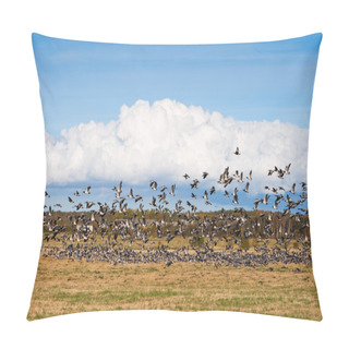 Personality  Flock Of Geese Pillow Covers