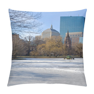 Personality  Frozen Pond Pillow Covers