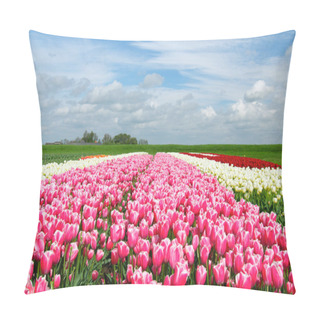 Personality  Springtime In Holland Pillow Covers