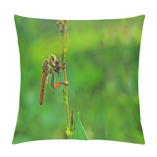 Personality  Macro Photography Pillow Covers