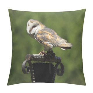 Personality  Masked Owl Pillow Covers