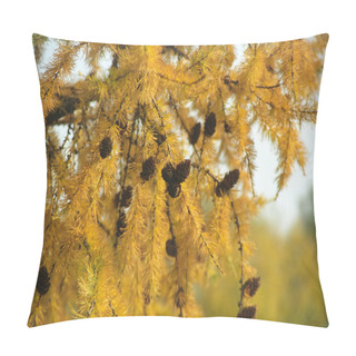Personality  Larch Tree Branches With Cones Pillow Covers