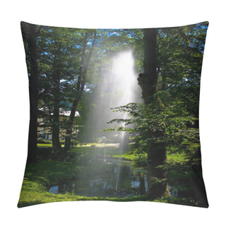 Personality  The Spa Town Of Charles Fountain. Pillow Covers