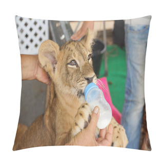 Personality  Feeding Milk To A Lion Cub Pillow Covers