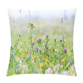 Personality  Flowering Clover - Red Clover Pillow Covers