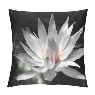 Personality  Pink Lotus Flower. Desaturated Image. Pillow Covers