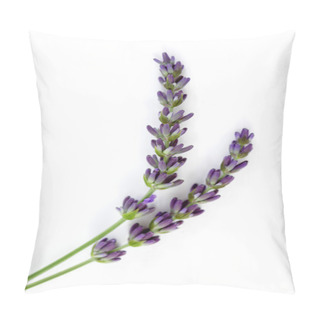 Personality  Lavender Flowers Pillow Covers