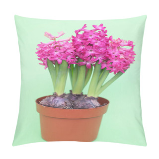 Personality  Hyacinth Fragrant Flowering Plants Pillow Covers