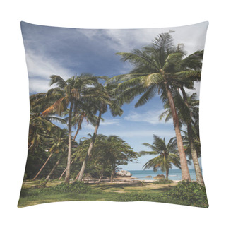 Personality  Palm Trees On Tropical Coast With Ocean On Background Pillow Covers