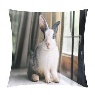 Personality  Grey Bunny Rabbit Looking Frontward To Viewer, Little Bunny Sitting On White Desk, Lovely Pet For Children And Family. Pillow Covers