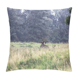 Personality  Stag With Large Antlers Standing In Field Pillow Covers
