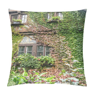 Personality  Windows Covered With Ivy Pillow Covers